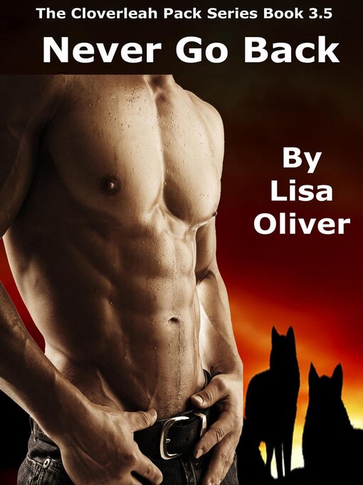 Cover image for Never Go Back